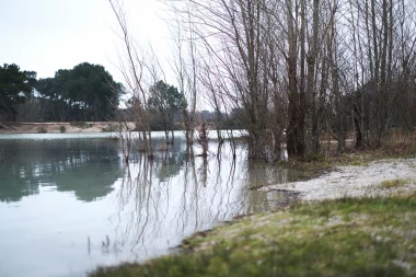 Etang de Paloumey   Arbres innondés.